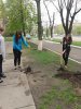Акція «Висаджуємо дерево»