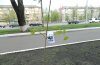 Акція «Висаджуємо дерево»