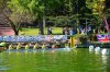 Вітаємо Білик Христину Миколаївну з перемогою на чемпіонаті Європи з веслування на човнах «Дракон»!