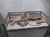 Подорож до музею трипільської культури