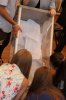 Прямі таємні вибори делегатів від студентства до робочих, консультативно-дорадчих органів Університету