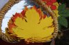 Відкриття чергового етапу соціального проекту "З Києвом і для Києва"