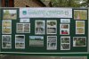 Відкриття спортивного комплексу університету Грінченка