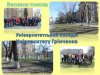 Весняна толока