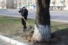 Весняна толока