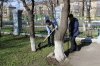 Весняна толока