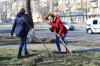 Весняна толока