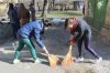 Весняна толока