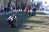 Весняна толока
