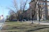 Весняна толока