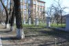 Весняна толока
