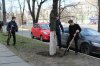 Весняна толока