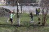 Весняна толока