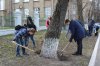 Весняна толока