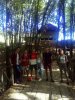 Екскурсія до Національного музею народної архітектури та побуту України