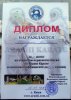 Відкрита першість Києва з Араші Карате
