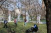 Весняна толока в Університетському коледжі