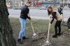 Весняна толока в Університетському коледжі