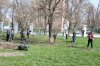 Весняна толока в Університетському коледжі