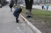 Весняна толока в Університетському коледжі