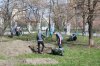 Весняна толока в Університетському коледжі