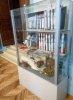 Екскурсія до Головної астрономічної обсерваторії НАН України та Астрономічного музею