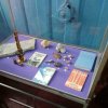 Екскурсія до Головної астрономічної обсерваторії НАН України та Астрономічного музею