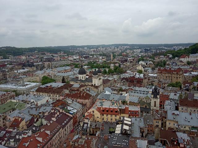 IMG 0856
