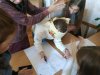 Тренінг з командоутворення для студентів першого курсу