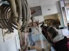 Виїзне заняття на базі Національного науково-природничого музею НАН України