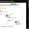 Участь у ІІ Всеукраїнській студентській науково-практичній  онлайн-конференції «У світі хімії: до 35 річчя аварії на ЧАЕС»