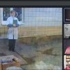 До Дня гідності та свободи: «Любіть Україну, як сонце любіть, як вітер, і трави, і води…»