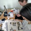 Зустріч в клубі «Людина професії» з авторкою коміксів Савіч Дар’єю