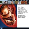 Зустріч з психологом-консультантом Інною Рудзік на тему 
