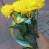Покладення квітів приурочене до Дня пам'яті захисників України, які загинули в боротьбі за незалежність, суверенітет і територіальну цілісність України
