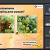 Патріотична гра до Дня Захисників і Захисниць України на тему 