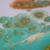 Майстер-клас з живопису з використанням арт-терапевтичної техніки Fluid Art