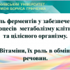 Відкрите заняття з дисципліни «Біологія і екологія» викладача Вітер Інни Миколаївни