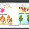 Засідання ЦК образотворчого мистецтва і дизайну (09.02.2022)