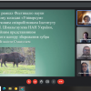 Зубр. Вразливий господар українських лісів