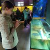 Екологічне заняття  до Дня Землі «Що таке екологічний слід?»