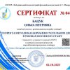 Методичний онлайн-семінар «Теорія та методика навчання суспільних дисциплін в умовах воєнного стану»