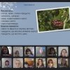 Майстер-клас з догляду за шкірою та виготовлення індивідуальних косметичних засобів «БЕЗпроблемна шкіра»