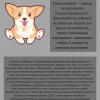 Спостереження за навчально-виховною роботою вчителя-класовода в перші дні дитини в школі 