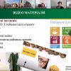Участь у V стратегічній сесії «Українські студії в славістиці: візуалізація»