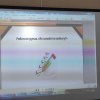 Тренінг на тему «Мобінг у трудових відносинах»