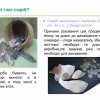 Вебінар «Таємниця давніх скарбів – витоки історії заощадження»