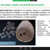 Вебінар «Таємниця давніх скарбів – витоки історії заощадження»