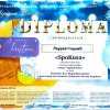 Вітаємо переможців XII міжнародного фестивалю "Новорічна феєрія"!
