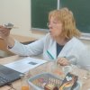 Відкрите заняття викладача Глухенької Л.М.